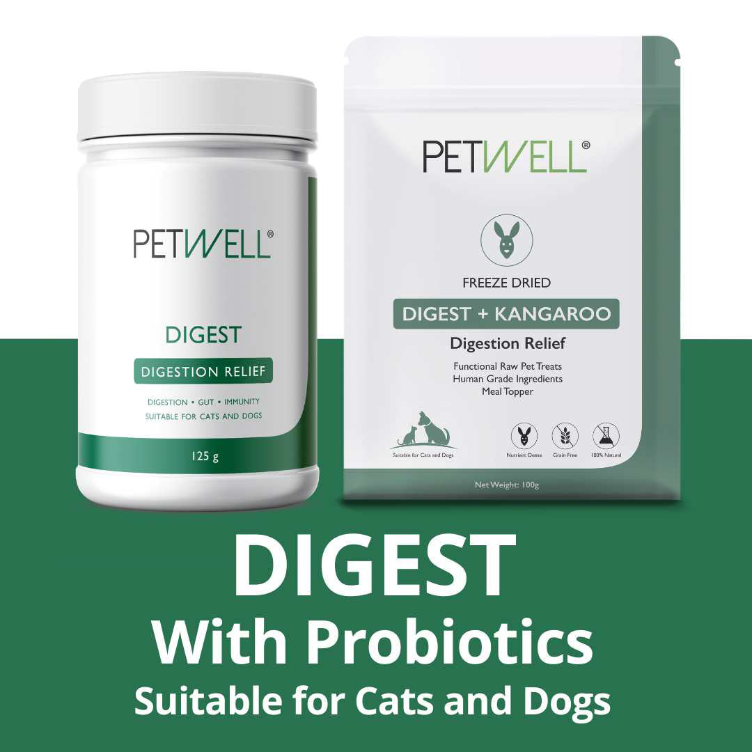 PetWell DIGEST supplement and functional treat packs