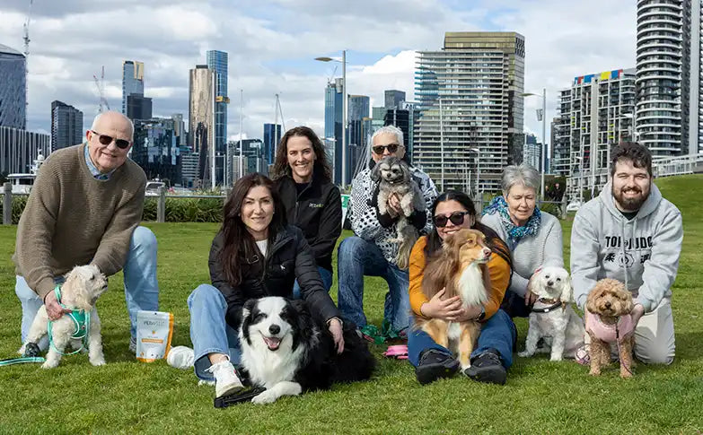 PetWell_Dog_Walk_for_PetWellness