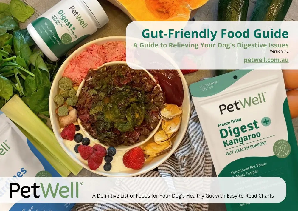 PetWell gut-friendly food guide with pet treats and ingredients on a table