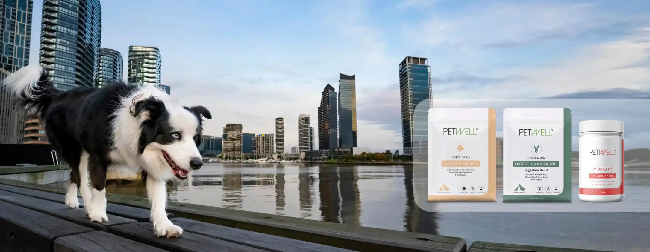 Healthy treats and supplements that keep your PetWell 