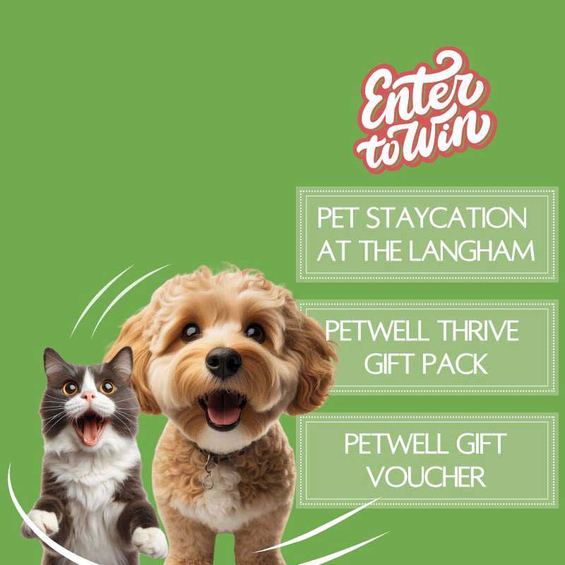 PetWell Giveaway for a Pet Staycation at The Langham 