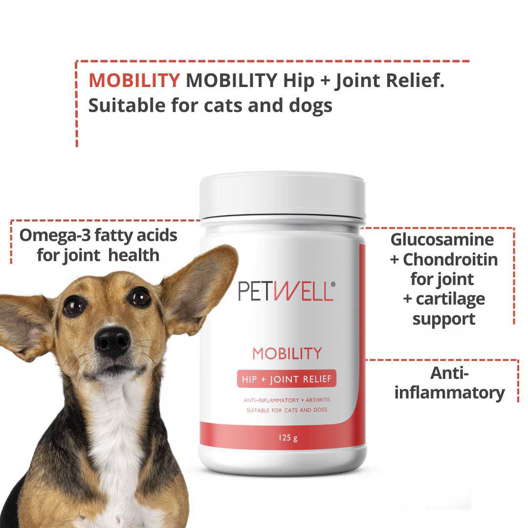 PetWell MOBILITY supplement benefits with image of dog