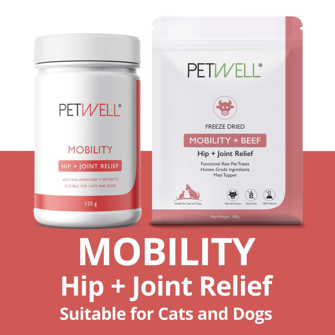 PetWell MOBILITY supplement and functional treat packs