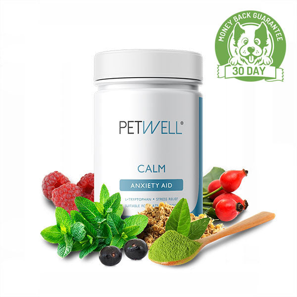 PetWell CALM supplement with real ingredients