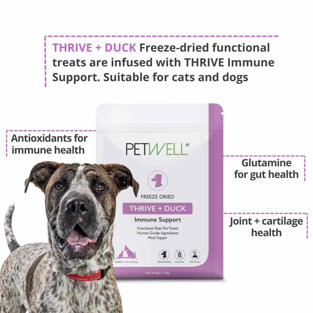 Thrive functional treat benefits