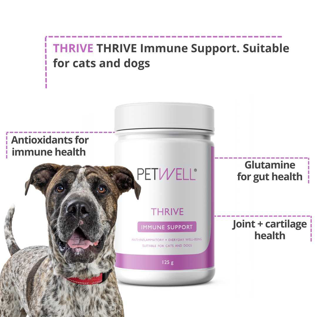 PetWell THRIVE supplement benefits with image of dog