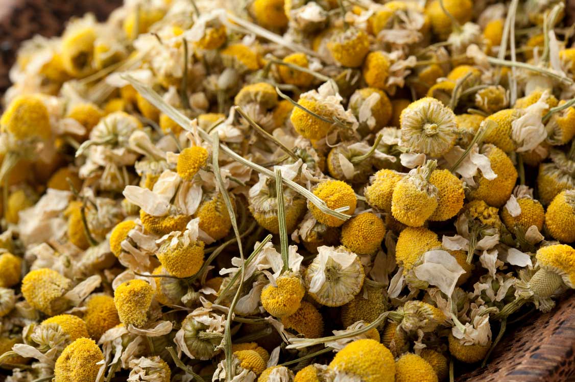 Dried Chamomile flowers