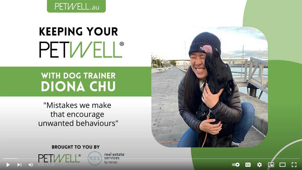 Resource video - mistakes we make in dog training