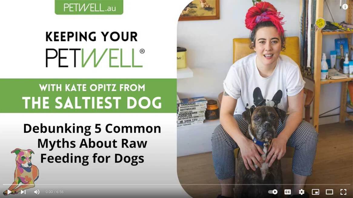 Resource video - 5 common myths about raw feeding your dog