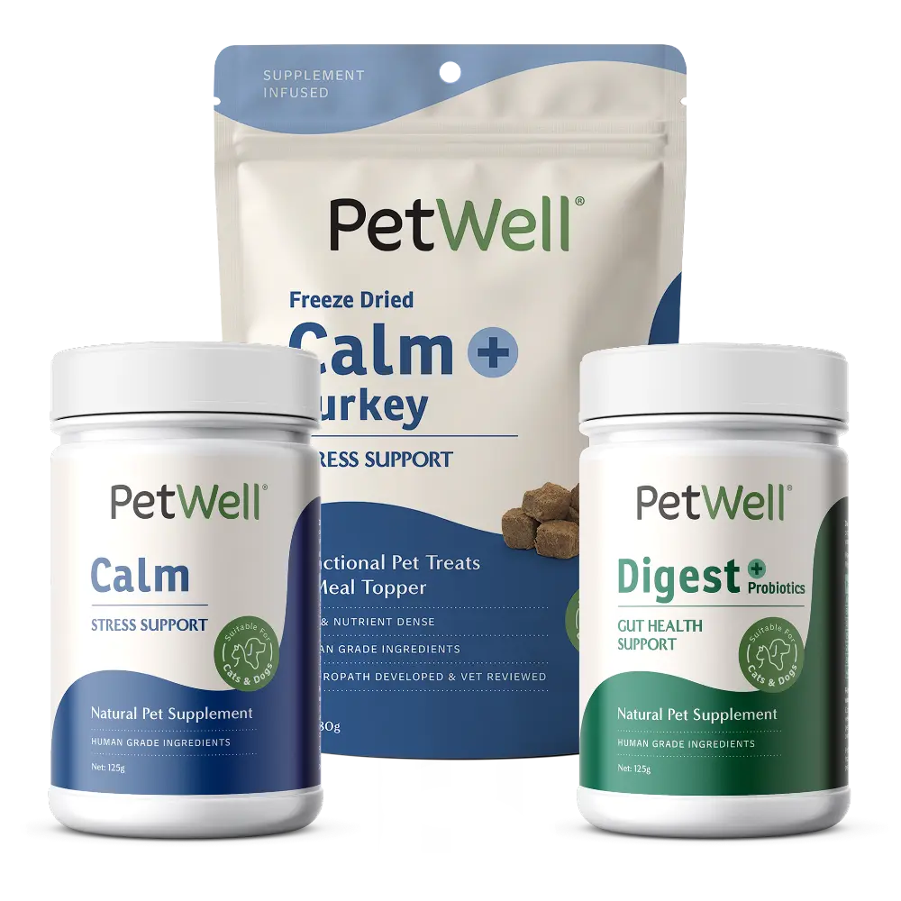 PetWell Calm supplement, Digest supplement and Calm + Turkey functional treat stress-free bundle 