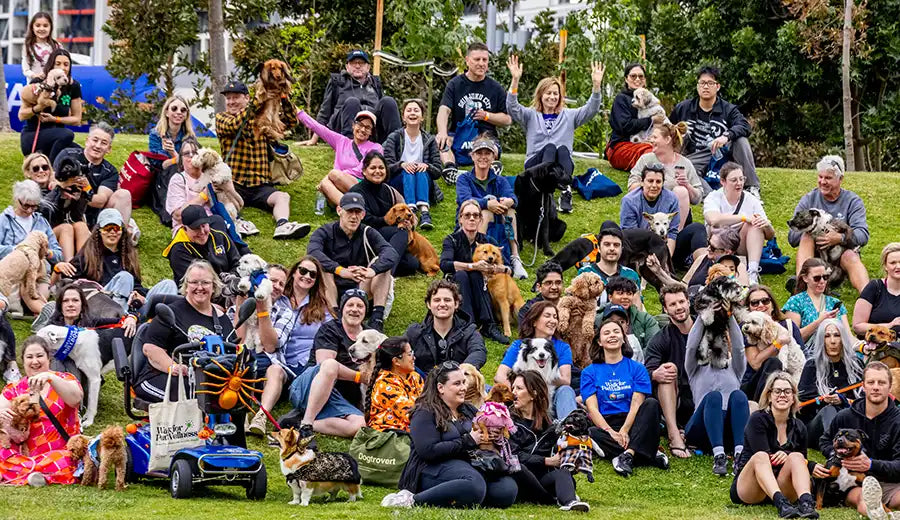 Crowd at the Walk for PetWellness 2025