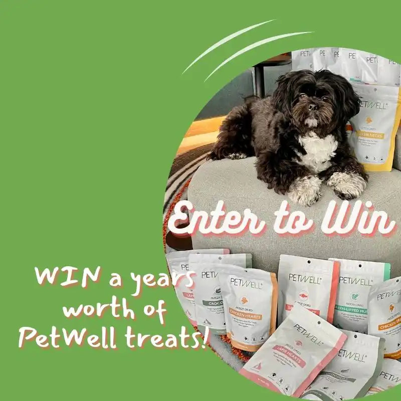 Win a years supply of petwell treats MOB