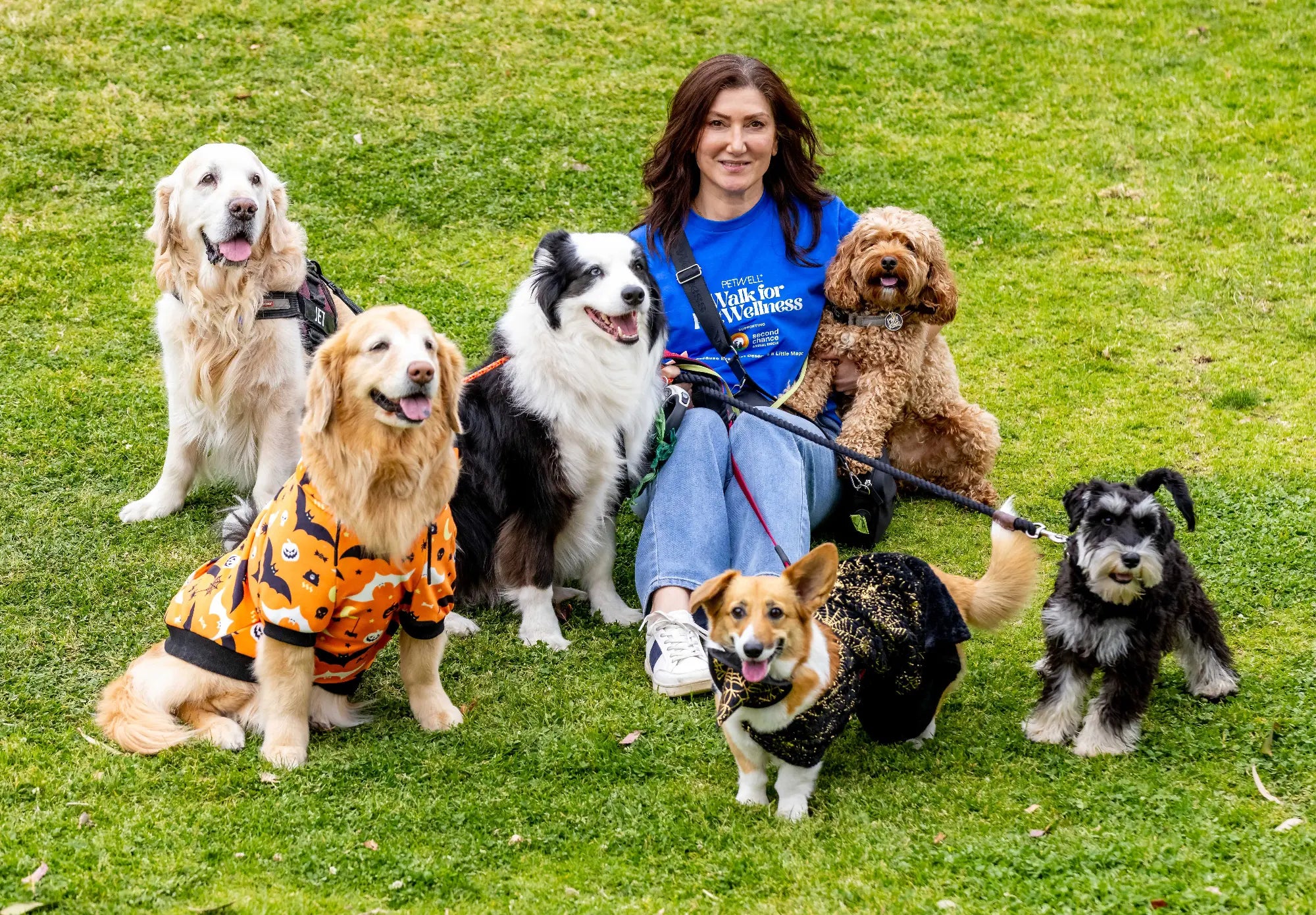 Ayda Hornak sitting on a green grass lawn with six dogs wearing various outfits, including a golden retriever in an orange pumpkin costume and a corgi in a black glittery outfit.