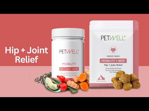PetWell MOBILITY Supplement and Treats for Dogs and Cats with Joint Issues