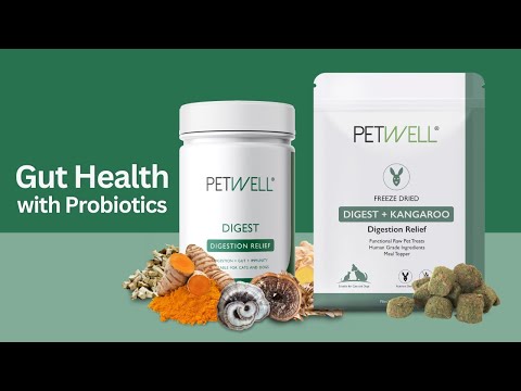 Gut Health Supplement for Dogs & Cats – PetWell DIGEST